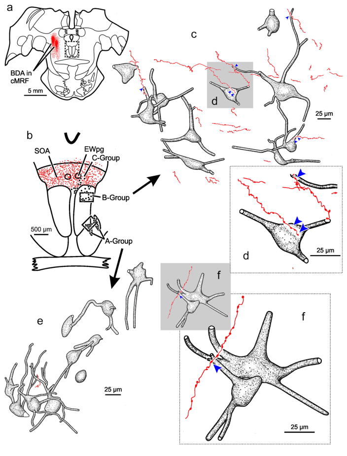 FIGURE 11