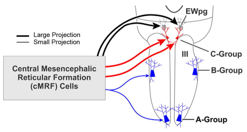 FIGURE 14