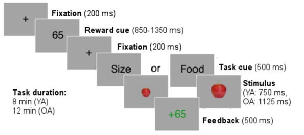 Appendix 1—figure 1.