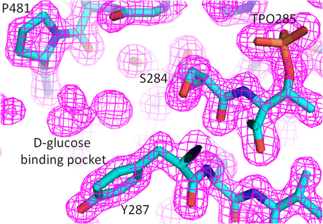 Fig. 6