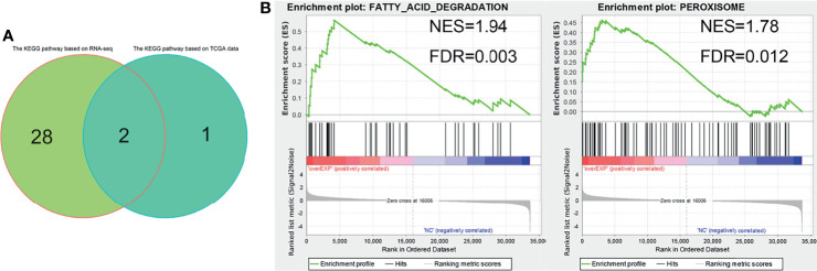 Figure 7