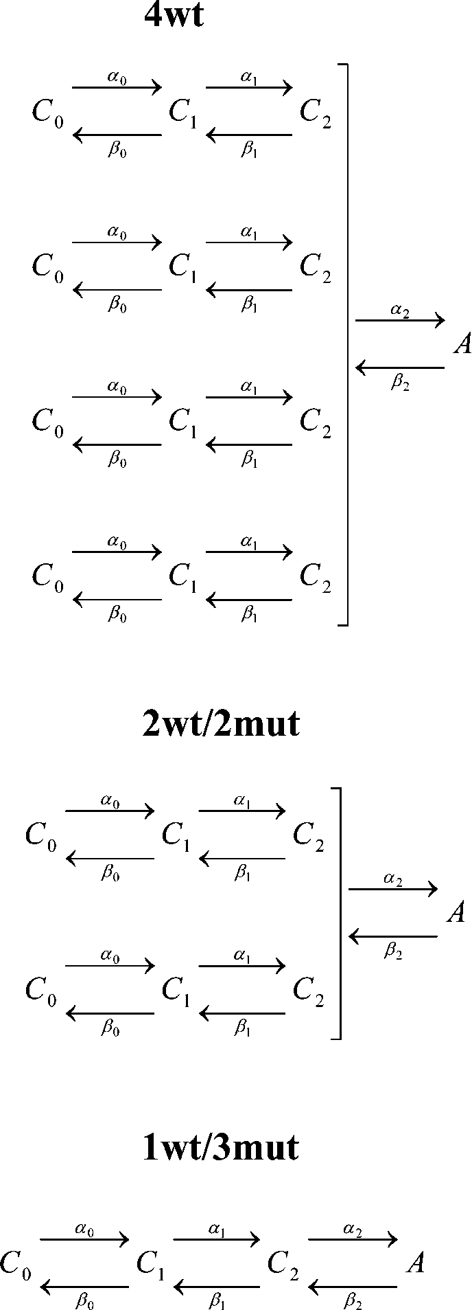 graphic file with name JGP_200810082_Scheme1.jpg