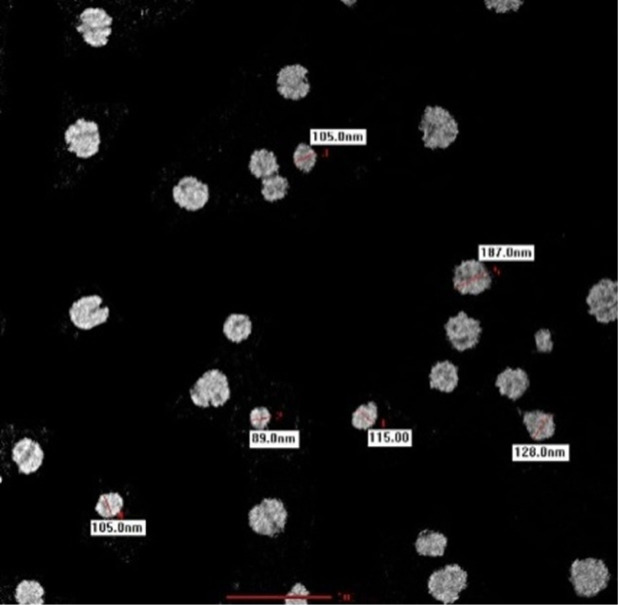 Figure 2: