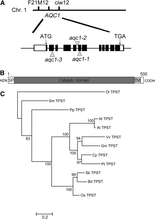 Figure 3.