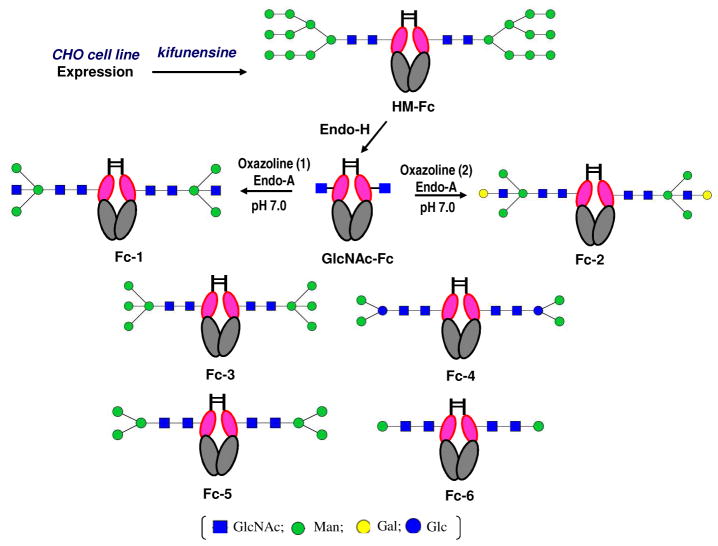 Scheme 3