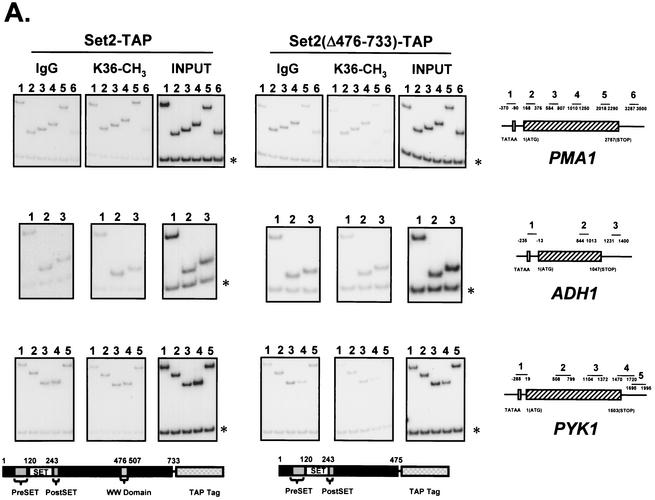 FIG. 2.