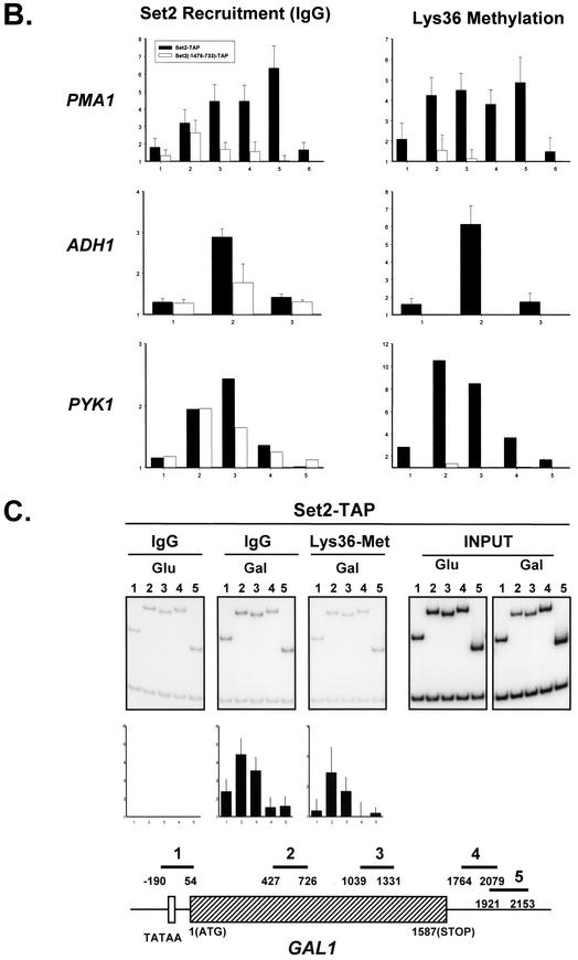 FIG. 2.