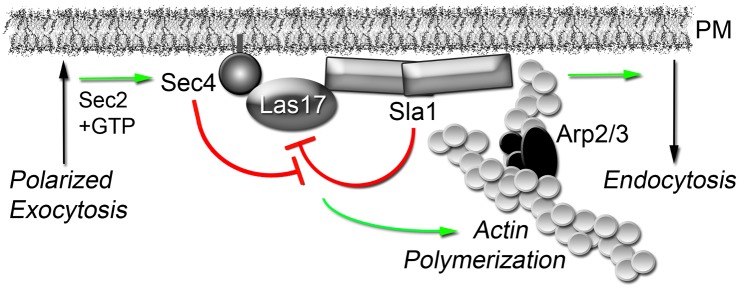 Fig 7