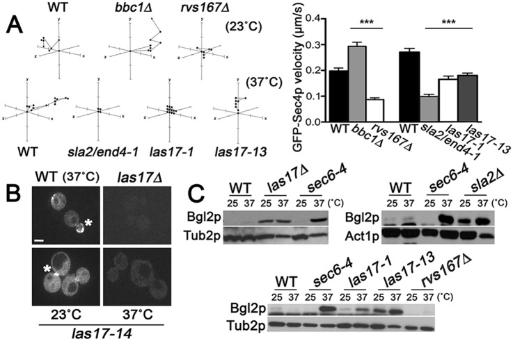 Fig 4