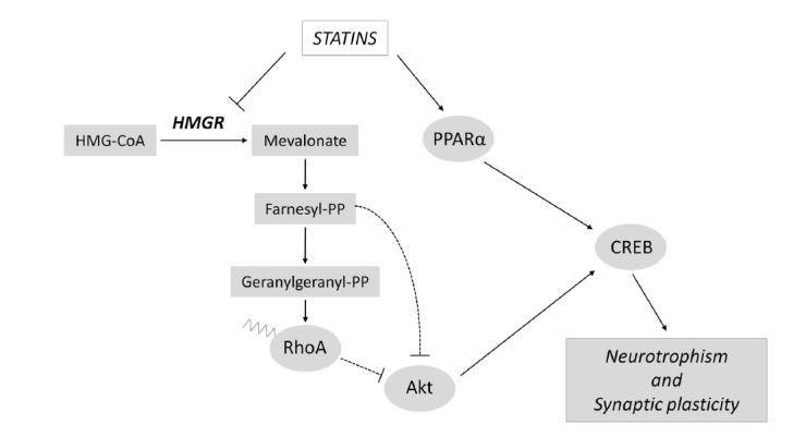 Fig. (2)