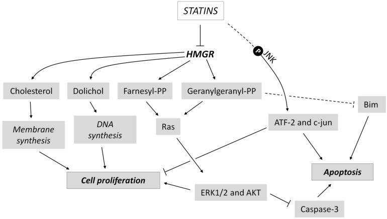 Fig. (5)