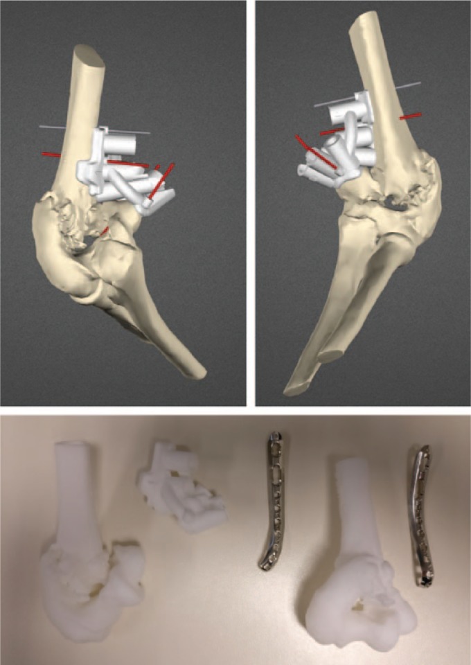 Fig. 4d