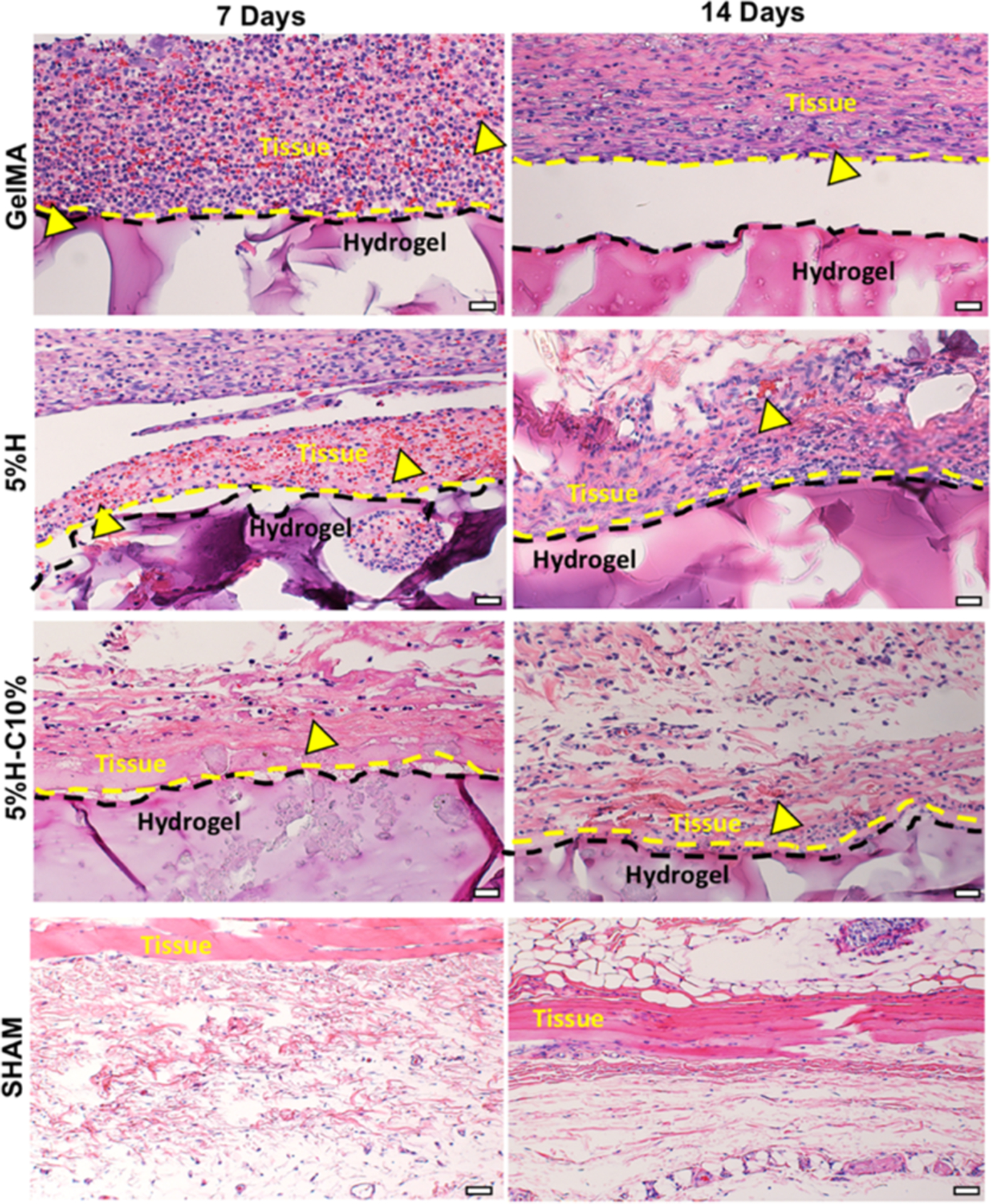 Figure 10.