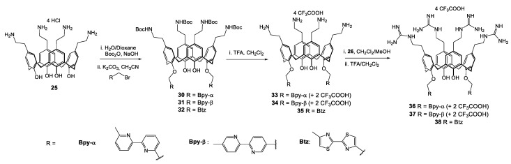 Scheme 3