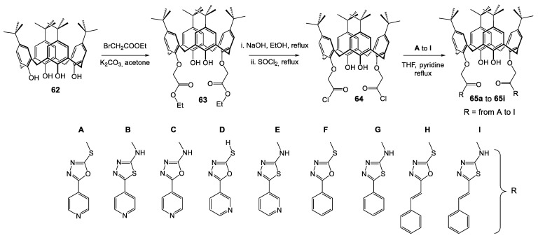 Scheme 6