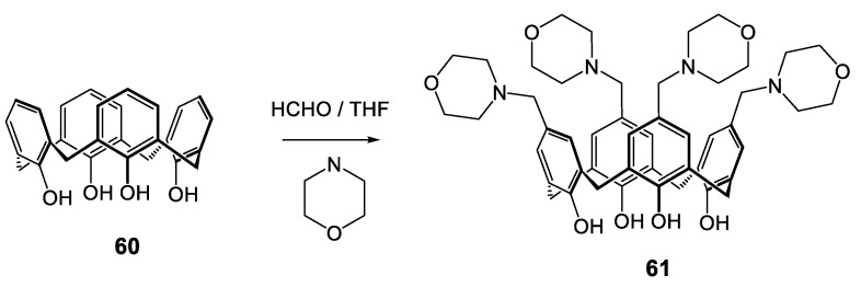 Scheme 5