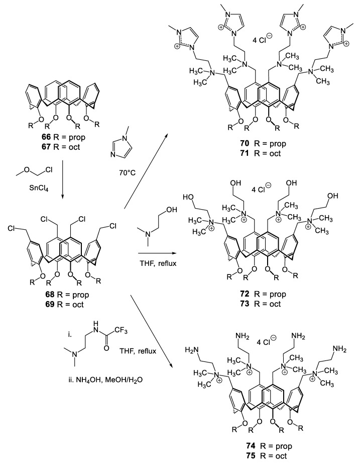 Scheme 7