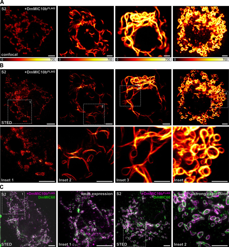 Figure 3.