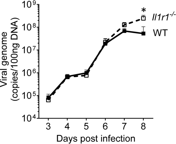 FIG 5