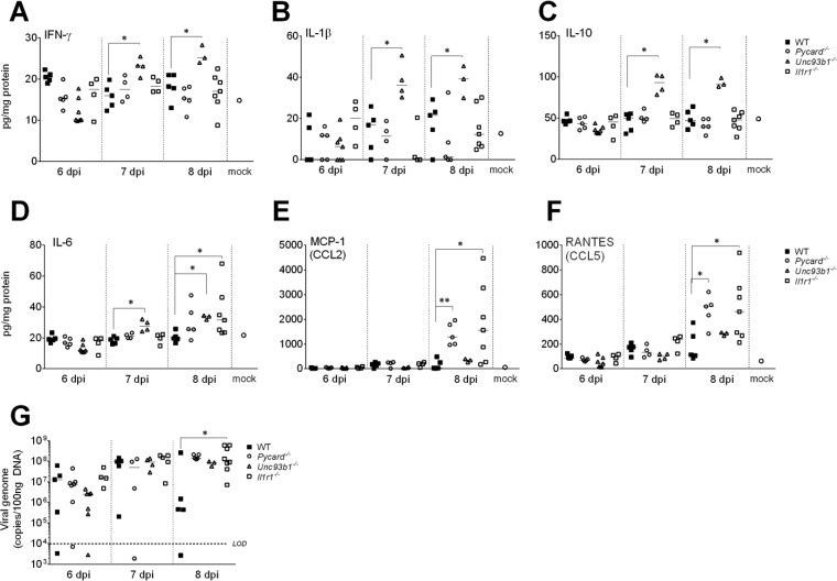 FIG 3