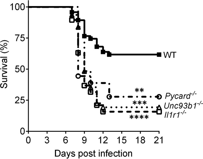 FIG 1