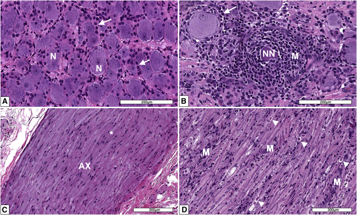 Figure 2