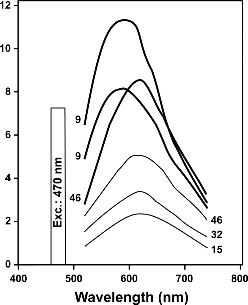 Figure 9