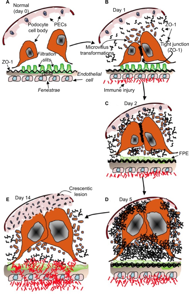 Figure 9