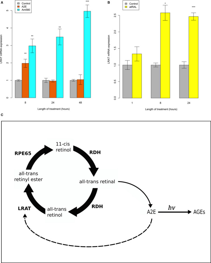 FIGURE 4