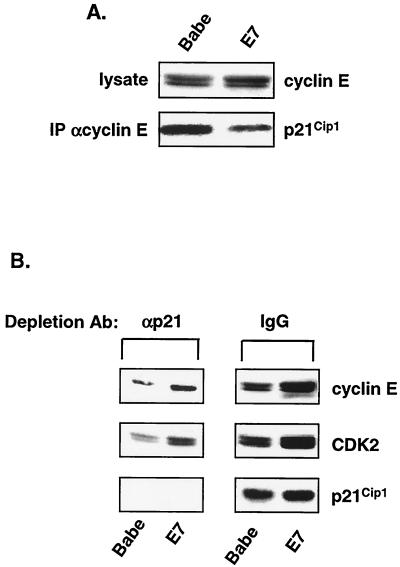 FIG. 6.