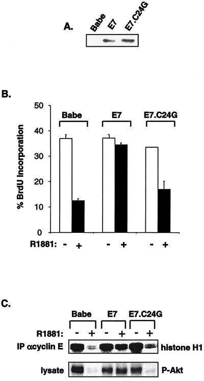 FIG. 10.