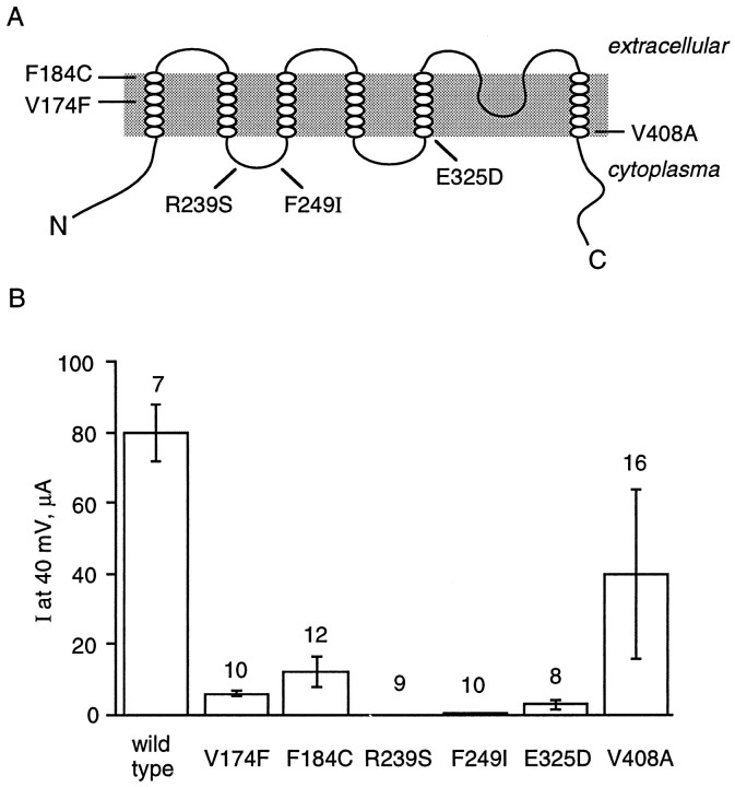 Fig. 1.