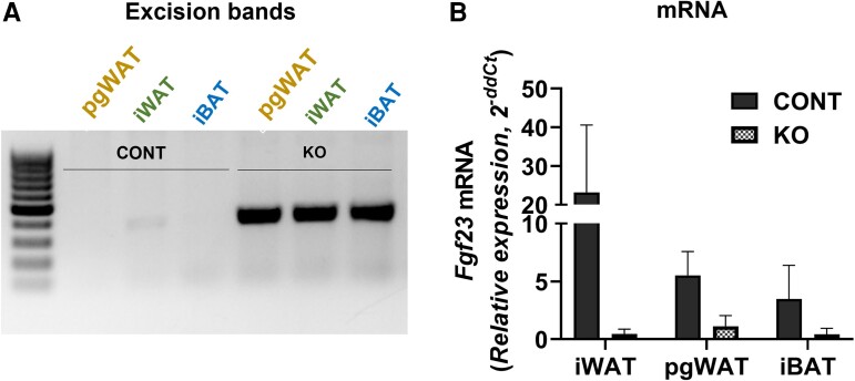Figure 5.