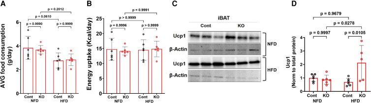 Figure 12.