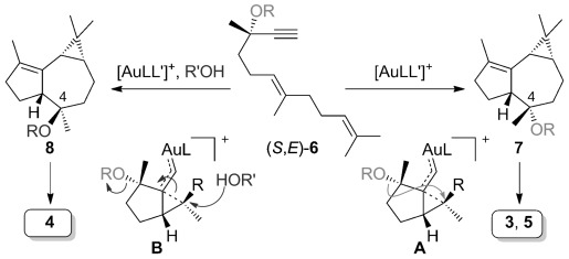 Scheme 1