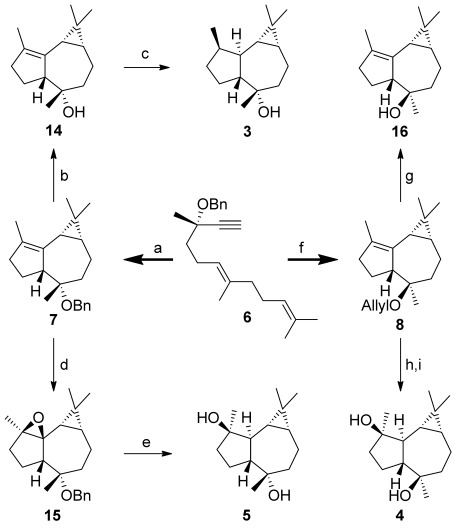 Scheme 3