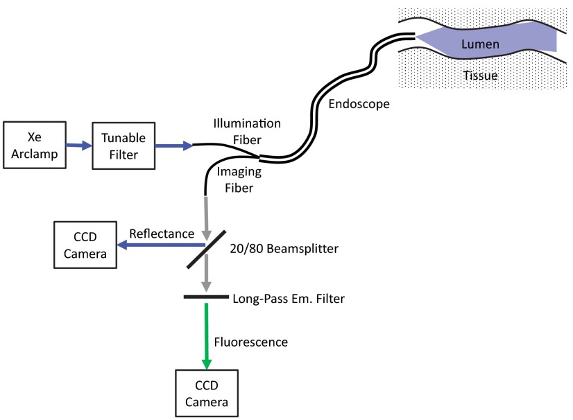 Fig. 6