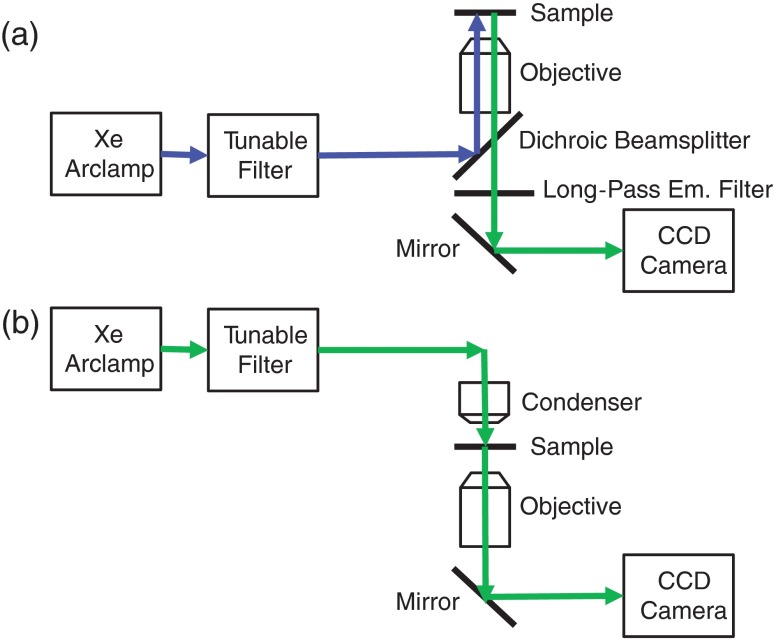 Fig. 1