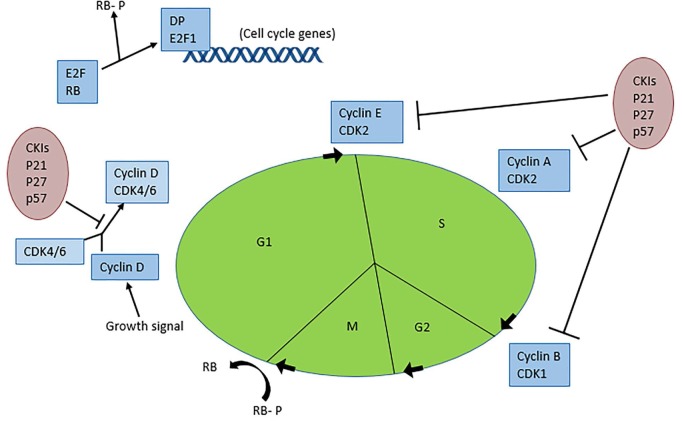 Figure 3.