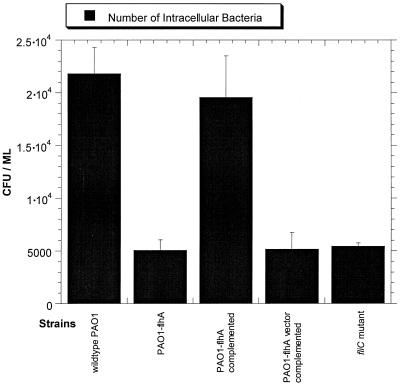 FIG. 1