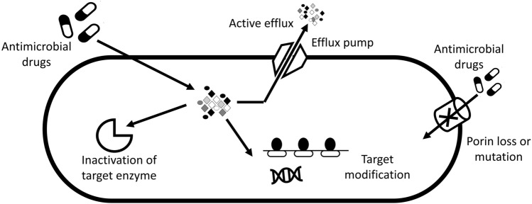 Fig. 2