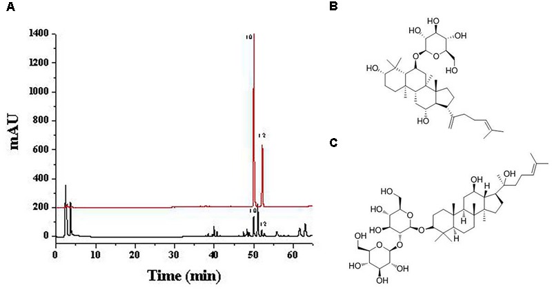 FIGURE 7