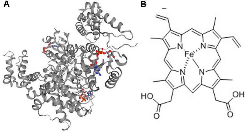 FIGURE 3