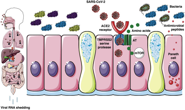 Figure 1