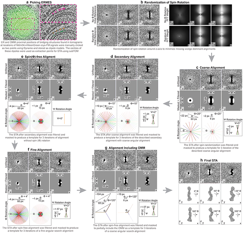 Extended Data Figure 3