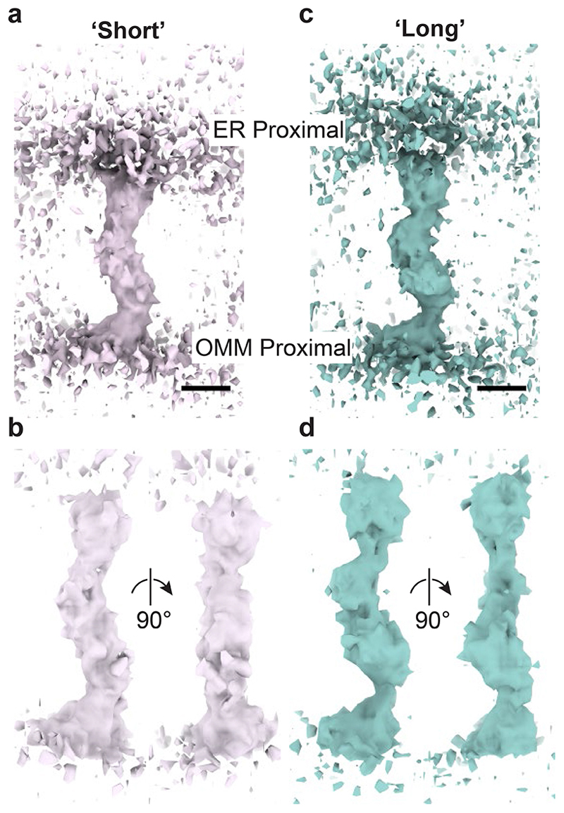 Extended Data Figure 5