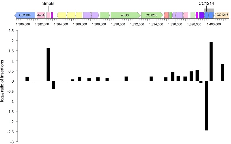 FIG 1 