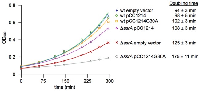 FIG 3 