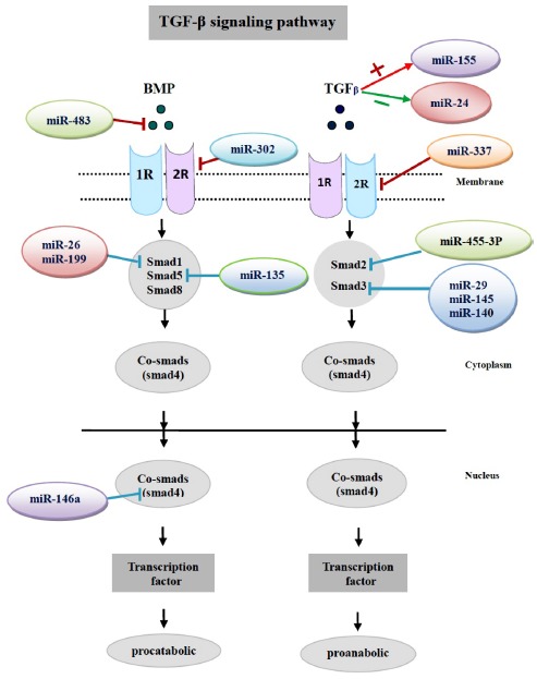 Fig. (1)