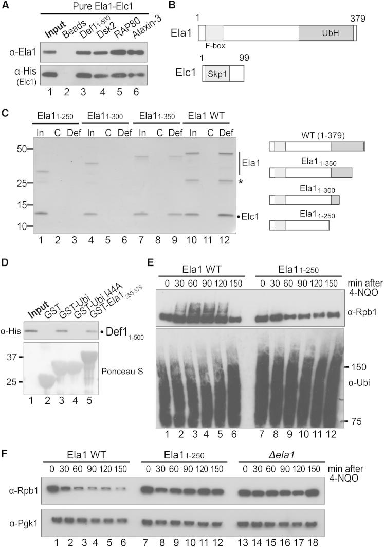 Figure 6